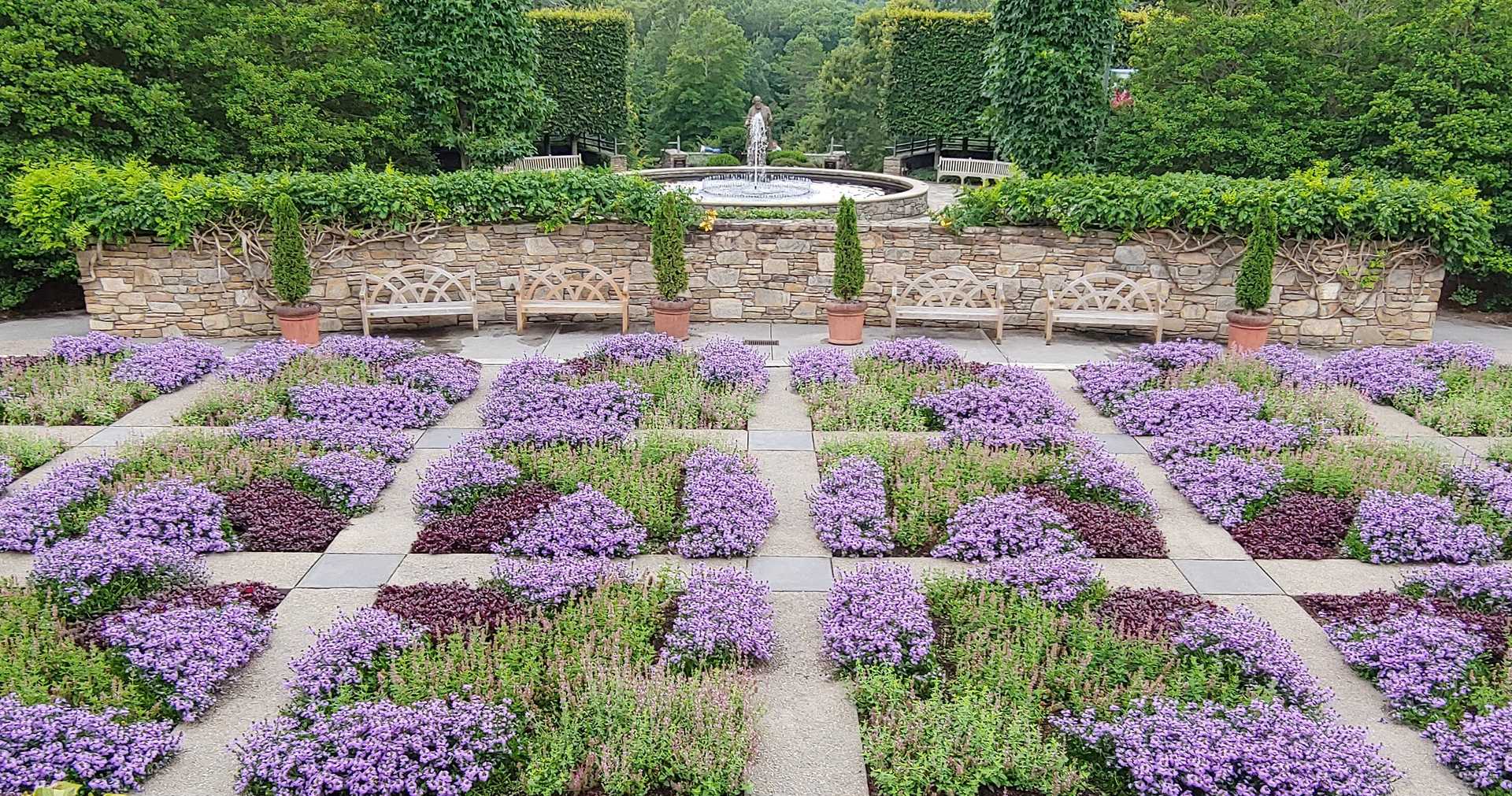 ROAM Boards ROAM Boards