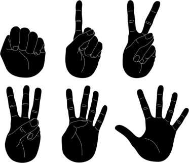 Confidence Voting Confidence Voting