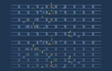 Agile Health Check Agile Health Check