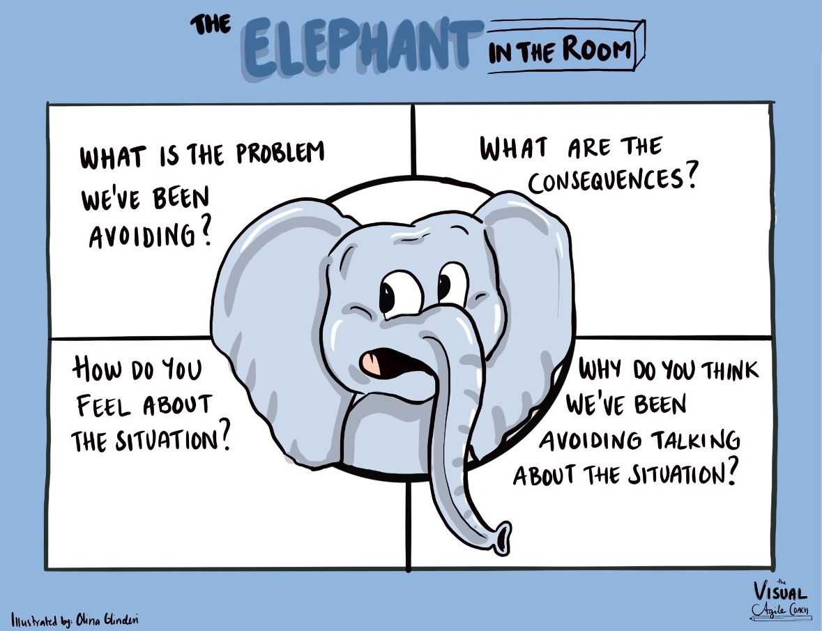 An Elephant in the Room An Elephant in the Room