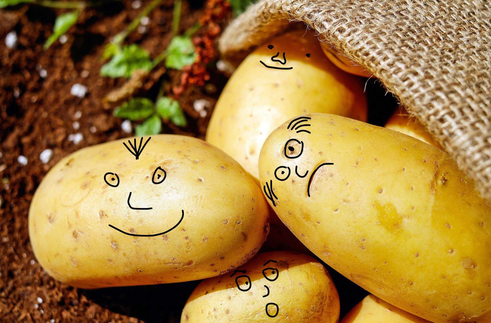 Dissent Cards Dissent Cards