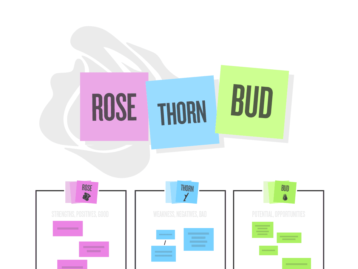 Rose, Thorn, Bud Rose, Thorn, Bud